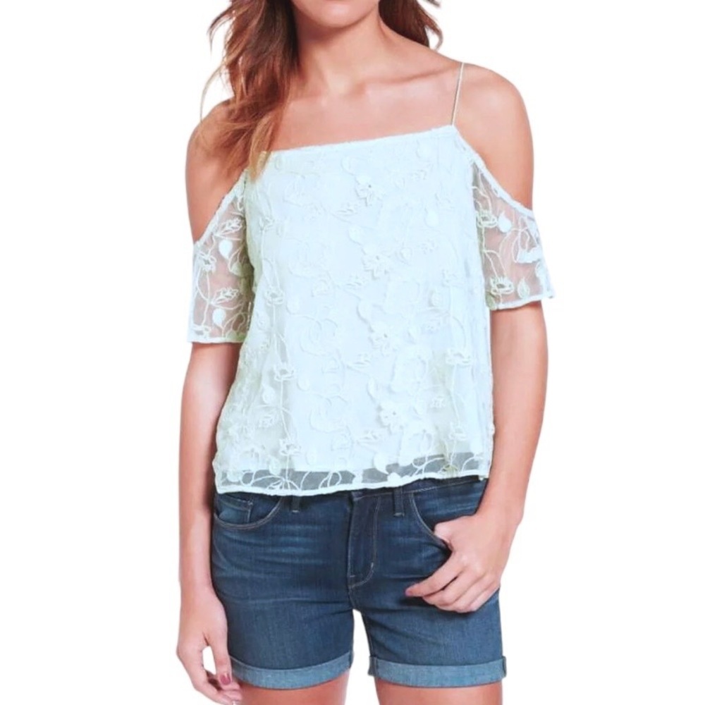 Hinge Top Large Embroidered Mesh Off Shoulder Aqua Cold Shoulder Floatie NWT